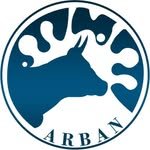 azure-coyote-673942.hostingersite.com