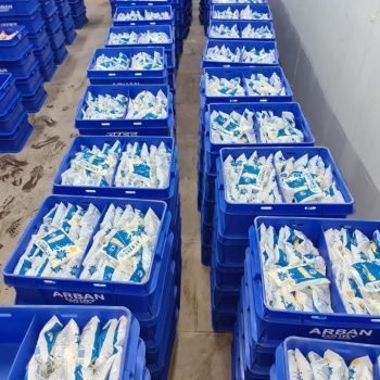 WhatsApp Image 2026-02-27 at 12.48.54 (1)